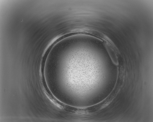 X0000080200788200612152039