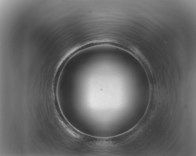 X0000080200789200612152039