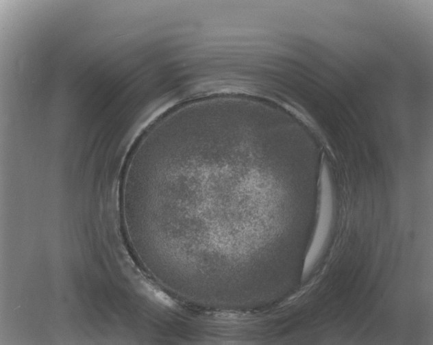 X0000080200790200612152039