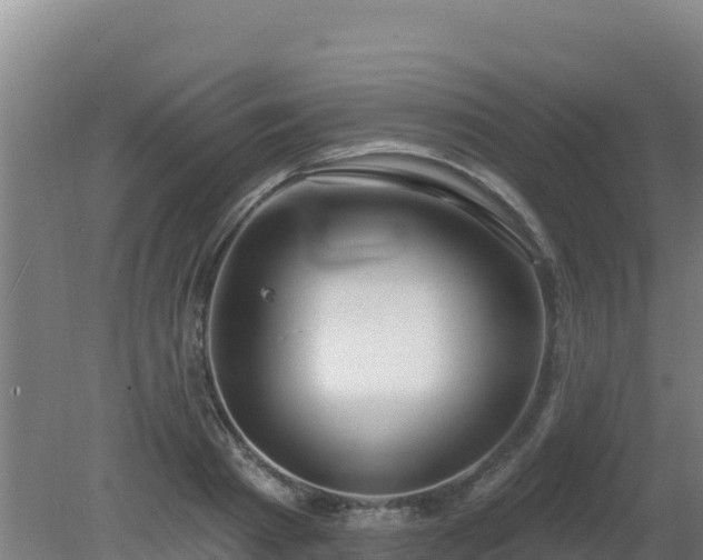 X0000080200793200612152039