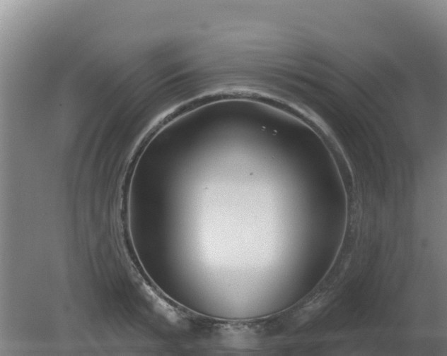 X0000080200799200612152039