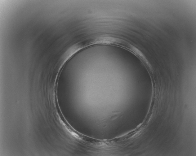 X0000080200802200612152038