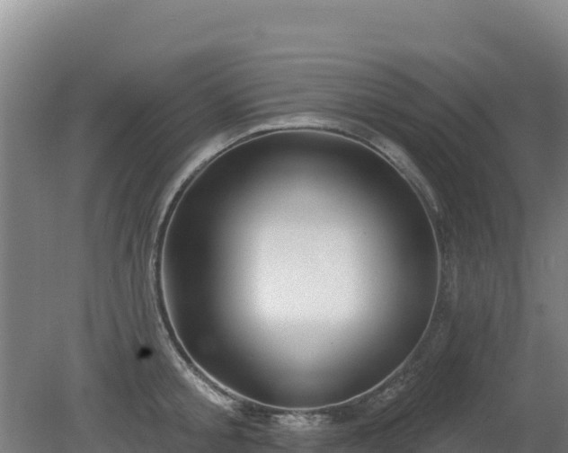 X0000080200805200612152038