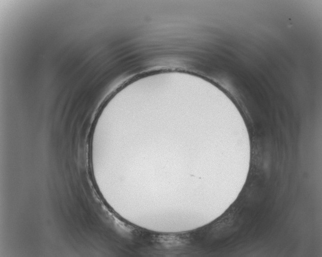 X0000080200807200612152038