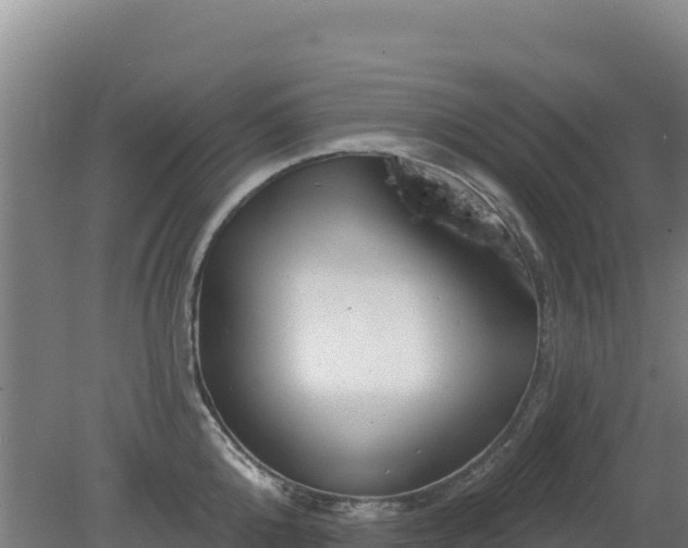 X0000080200808200612152038