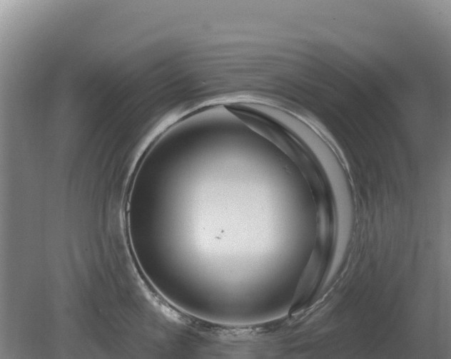 X0000080200813200612152038