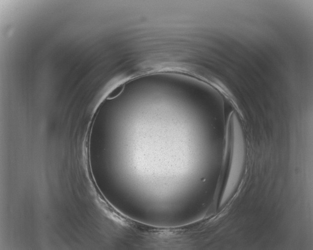 X0000080200814200612152038