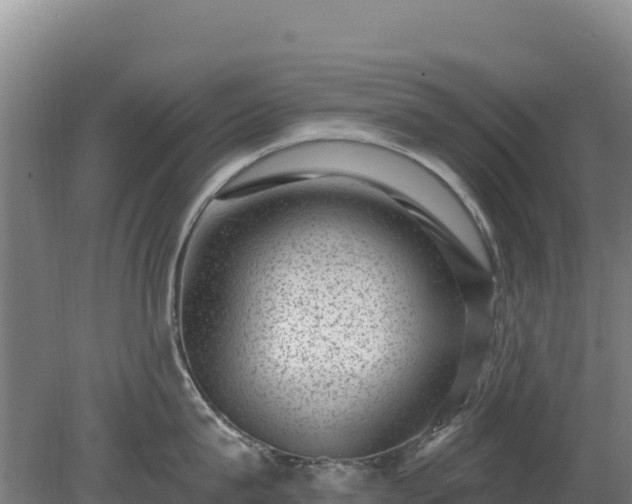 X0000080200815200612152038