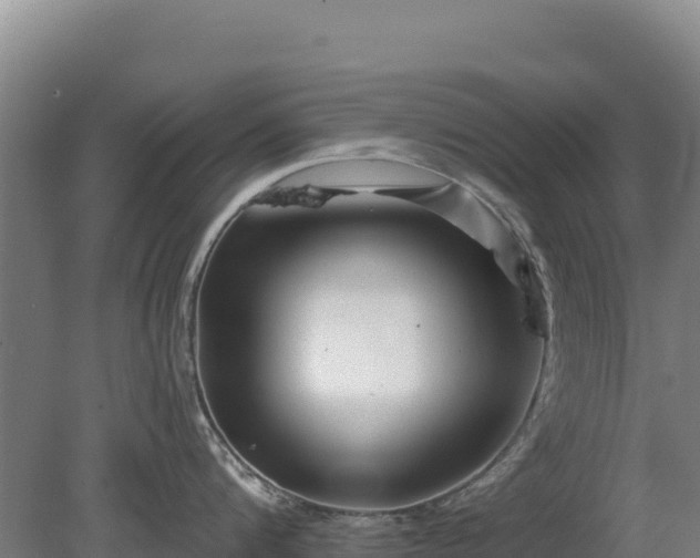 X0000080200816200612152038