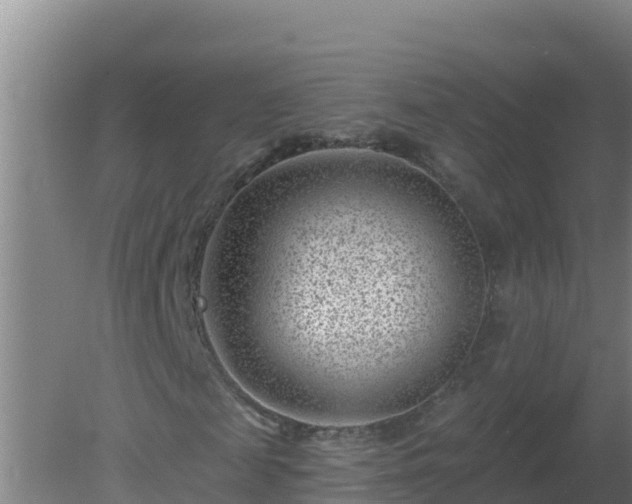 X0000080200817200612152037