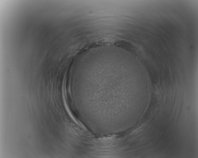 X0000080200818200612152037