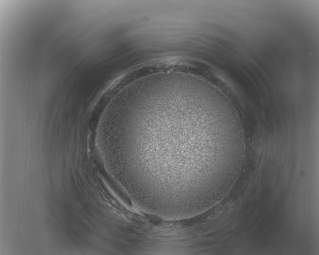 X0000080200823200612152038