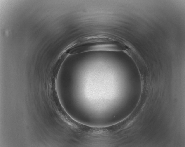 X0000080200826200612152038