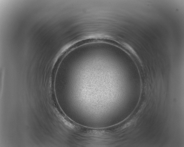 X0000080200831200612152038