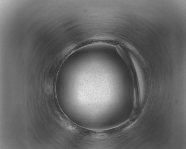 X0000080200833200612152038