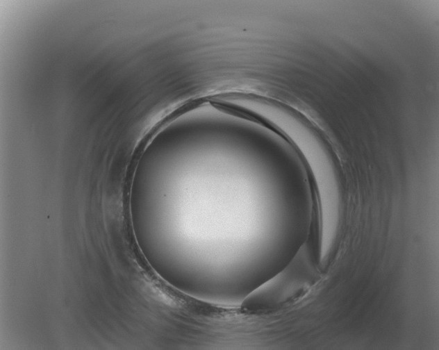 X0000080200834200612152038