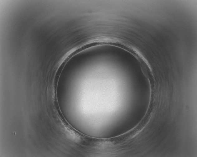 X0000080200837200612152038