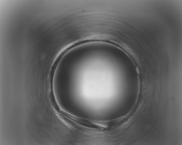 X0000080200838200612152038