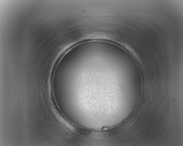 X0000080200840200612152038