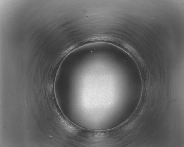 X0000080200841200612152038