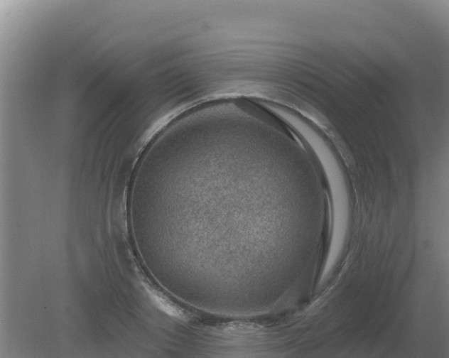 X0000080200842200612152038