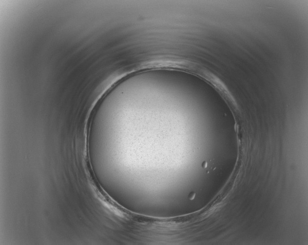 X0000080200844200612152038