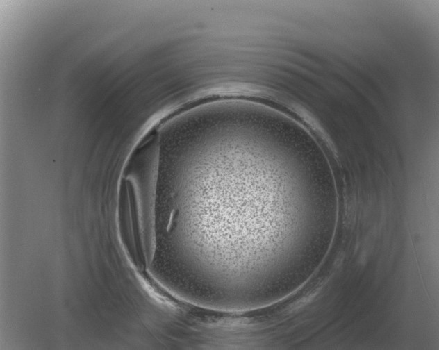 X0000080200845200612152038