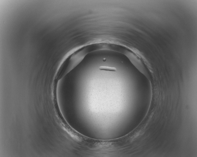 X0000080200846200612152038