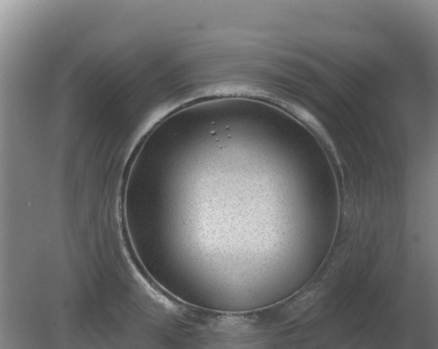 X0000080200847200612152038