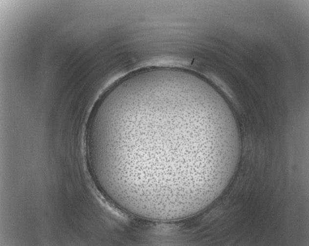 X0000080200848200612152038