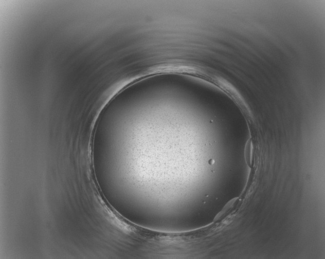 X0000080200852200612152038