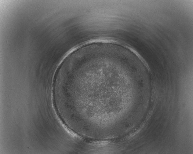 X0000080200853200612152038