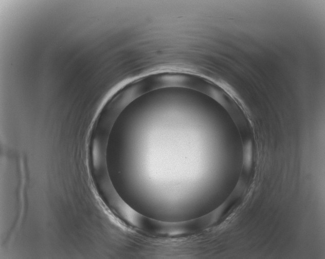 X0000080200854200612152038