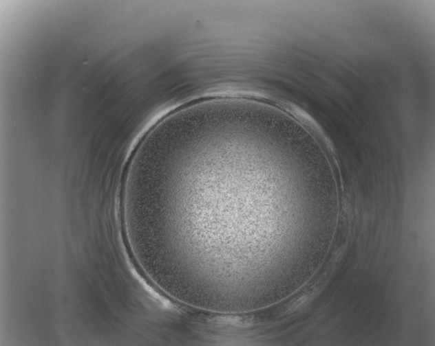 X0000080200855200612152038