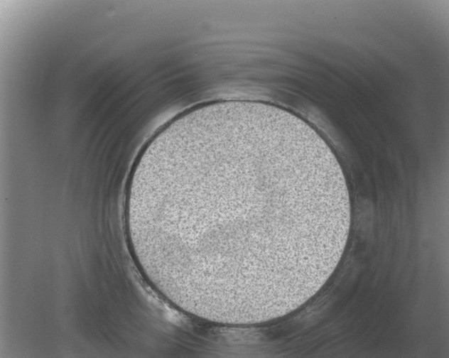 X0000080200856200612152038