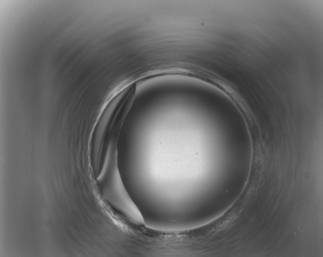 X0000080200858200612152038