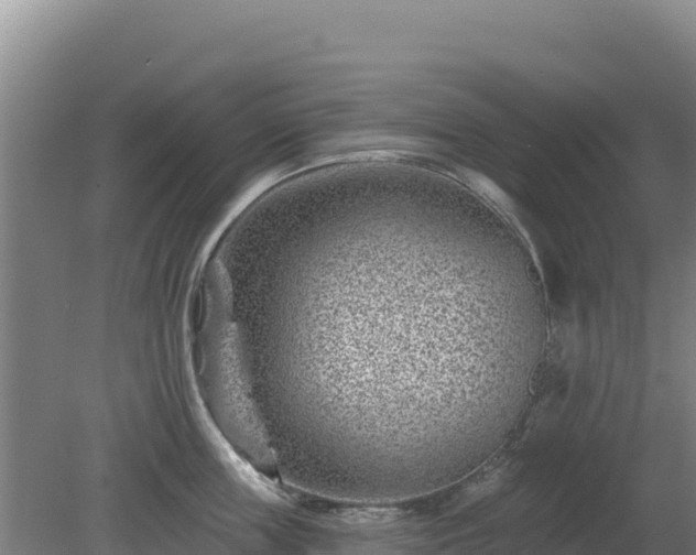 X0000080200859200612152038