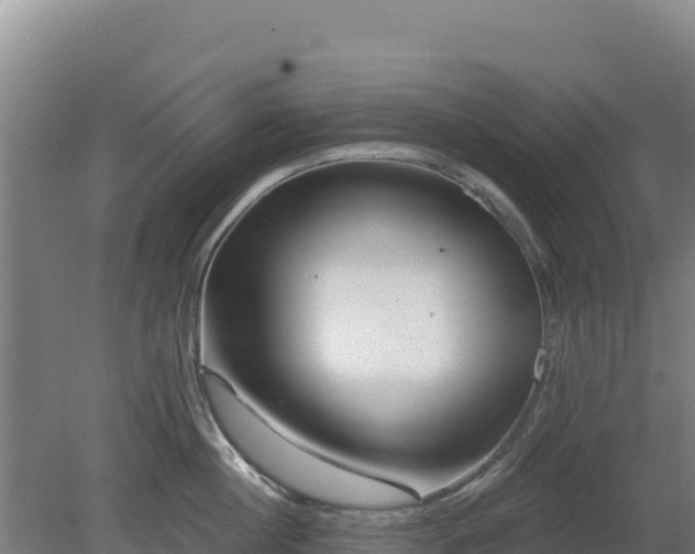 X0000080200860200612152038