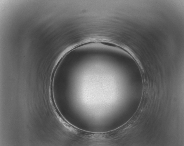 X0000080200861200612152038