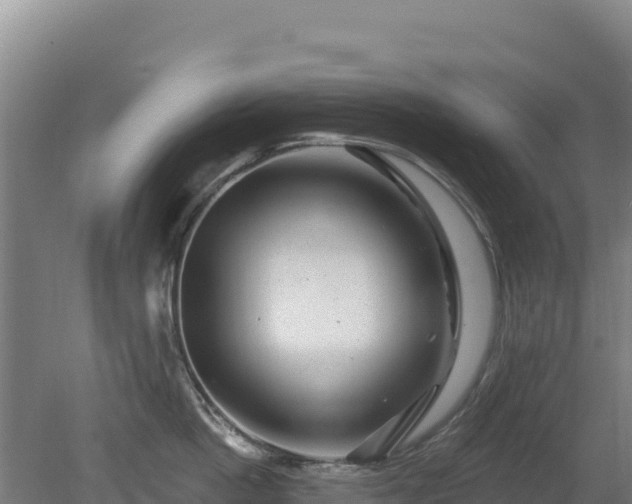 X0000080200862200612152038