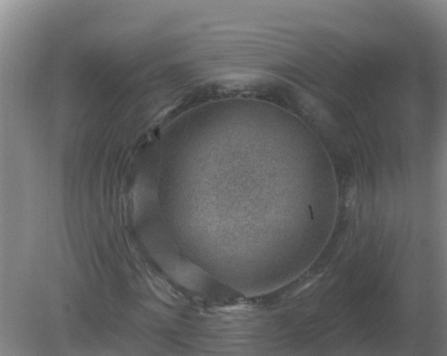 X0000080200868200612152037