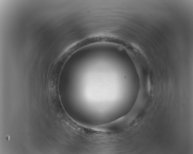 X0000080200872200612152037