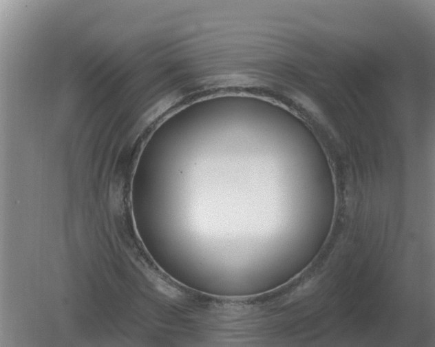 X0000080200873200612152037