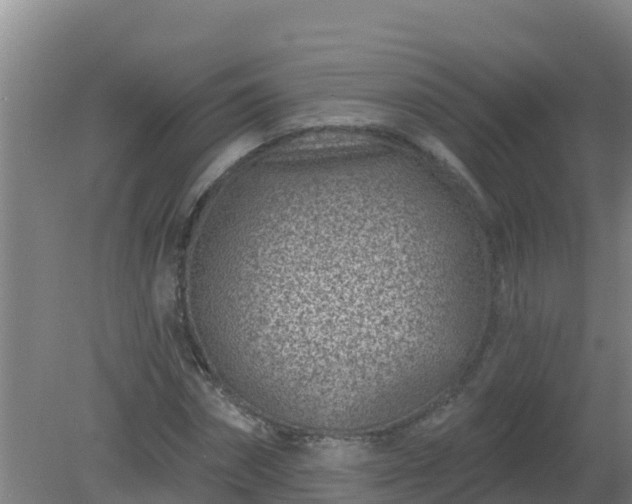 X0000080200874200612152037