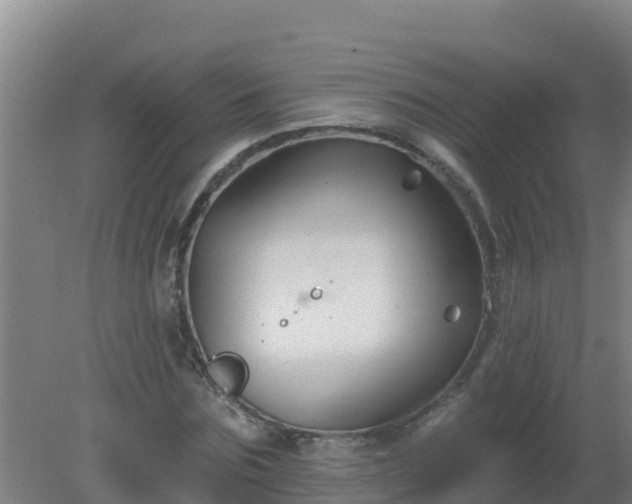 X0000080200875200612152037