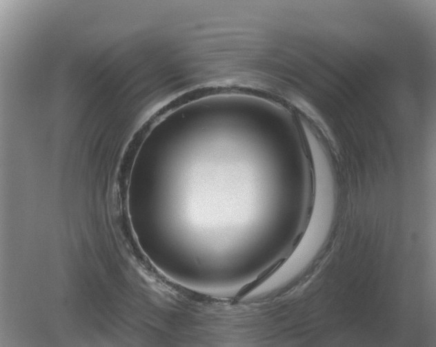 X0000080200876200612152037