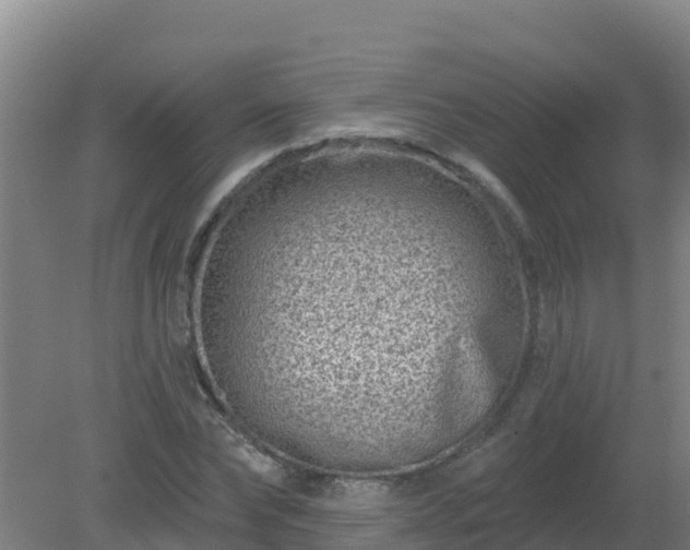 X0000080200878200612152037