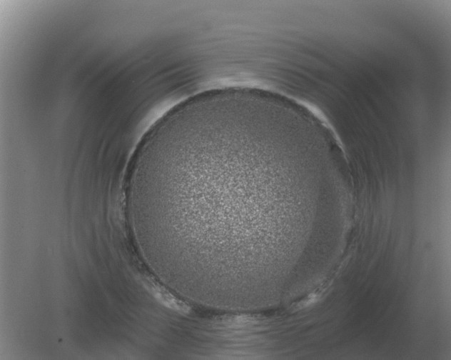 X0000080200879200612152037