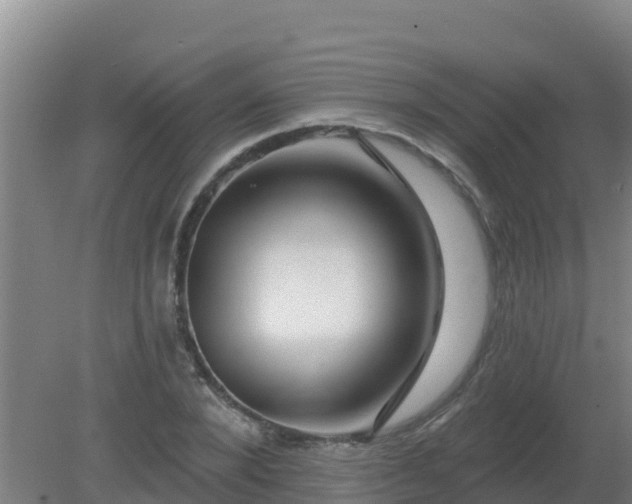 X0000080200880200612152037