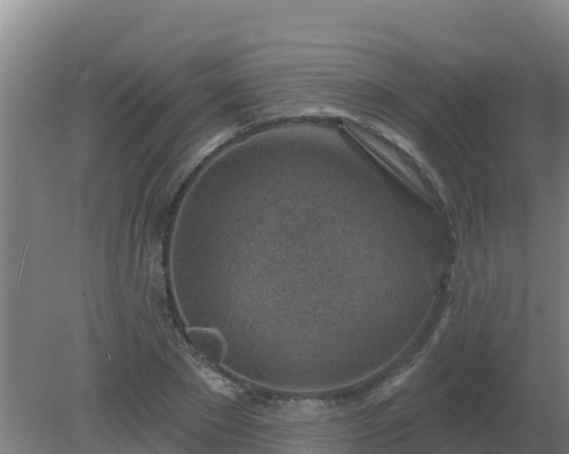 X0000080200881200612152037